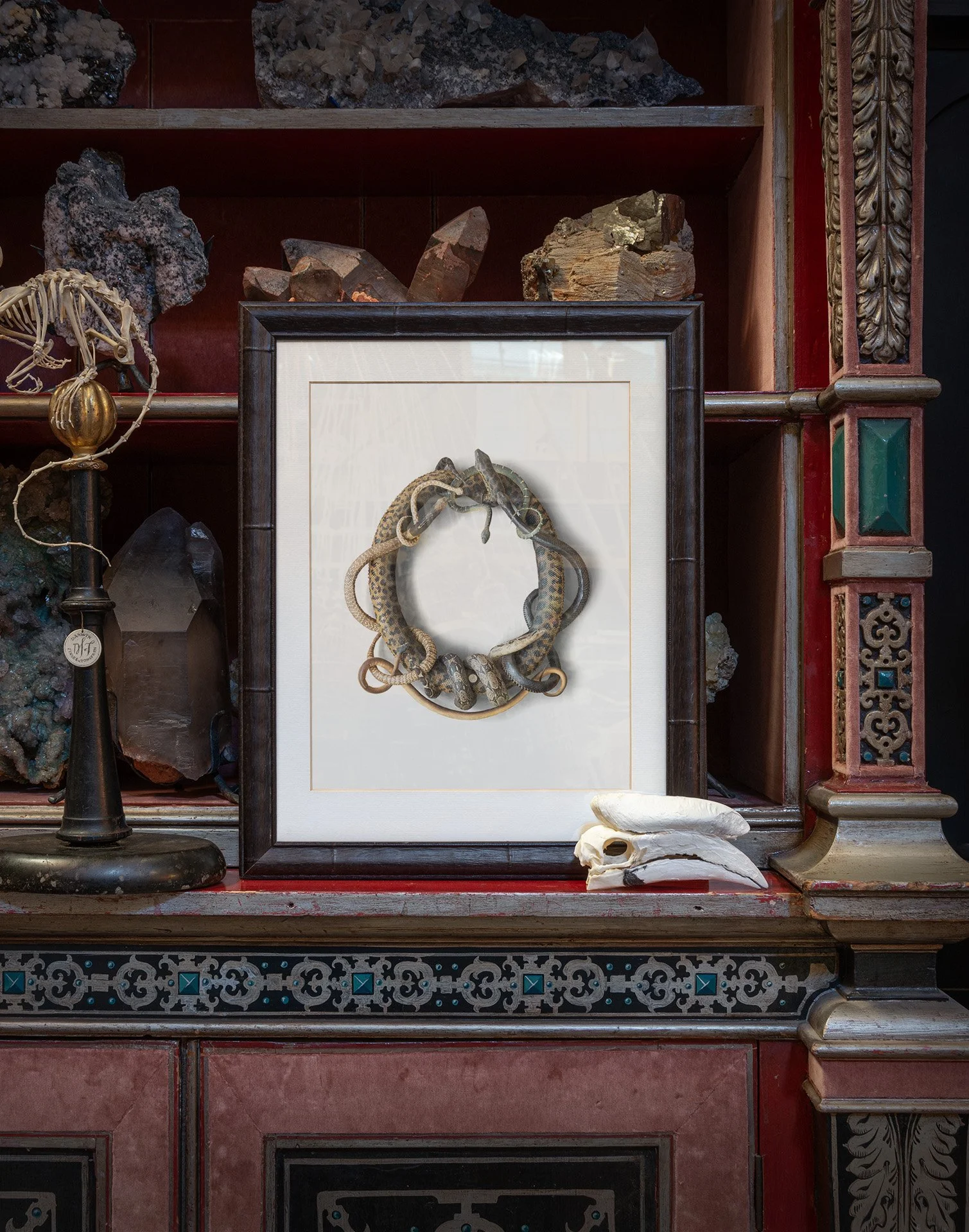 No. 196 — Fine Taxidermy by Darwin, Sinke & van Tongeren